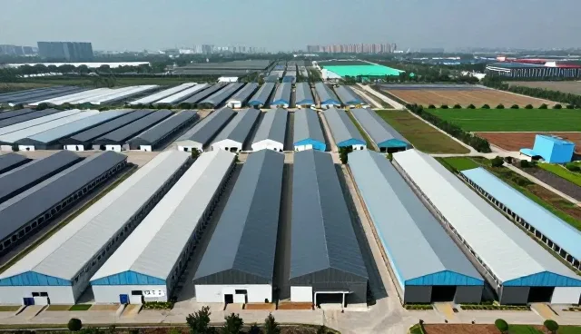 上海展名申文化传媒有限公司提供可靠内容生产支持